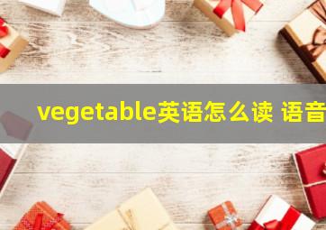 vegetable英语怎么读 语音